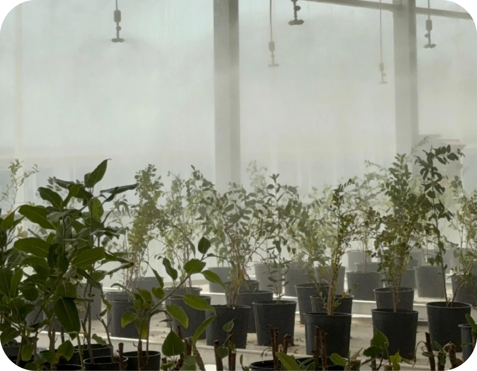 Irrigation Systems