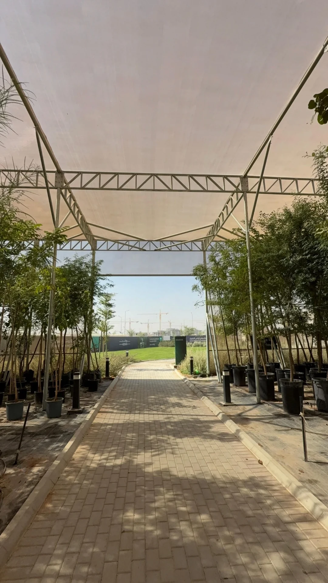 Net house entrance with young trees