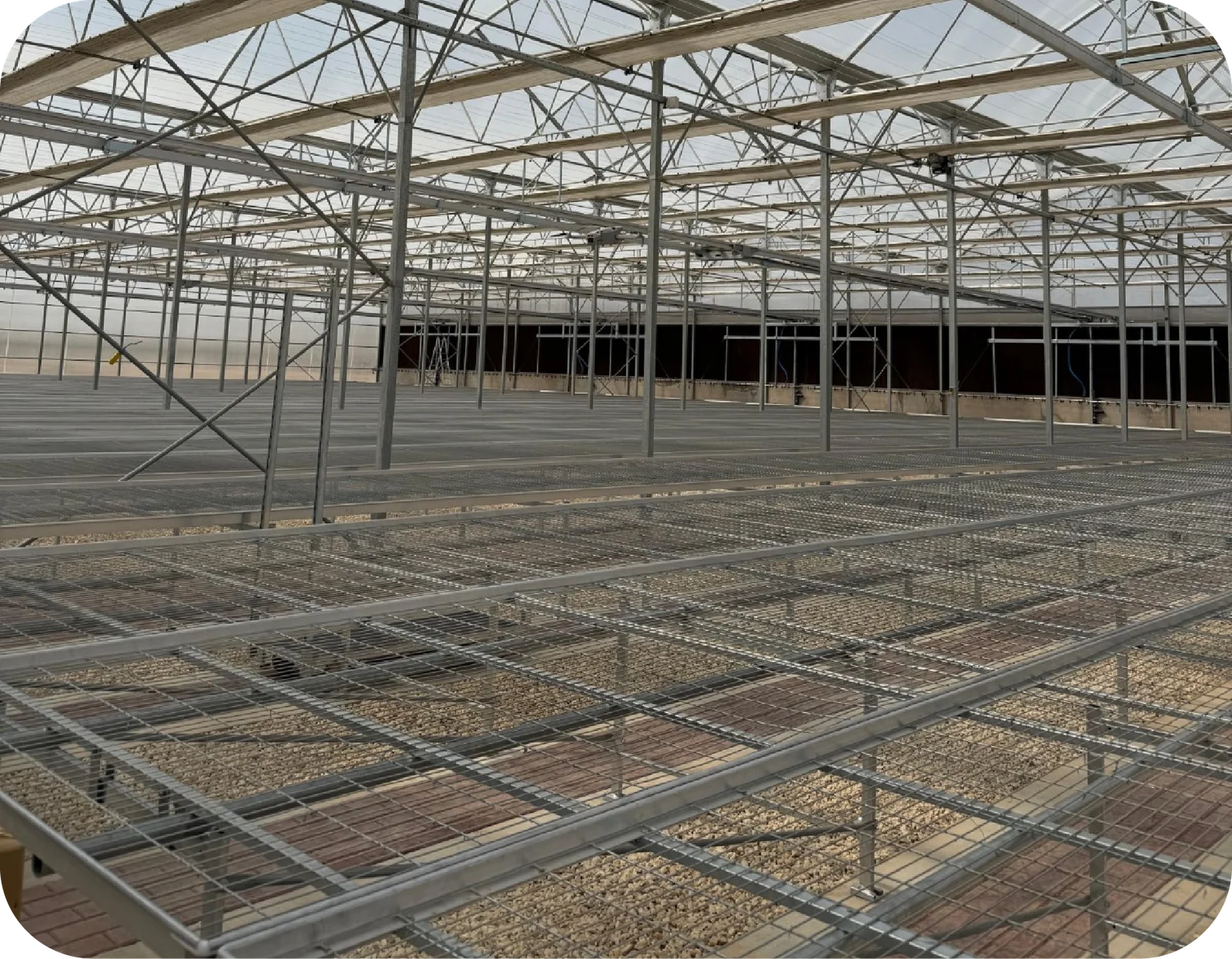 Rows of galvanized incubation tables inside a nursery greenhouse