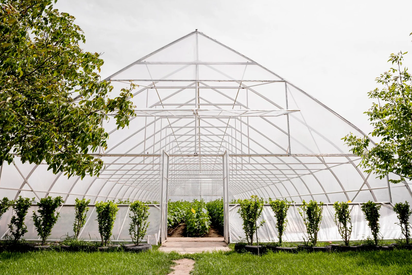 Gable Greenhouses