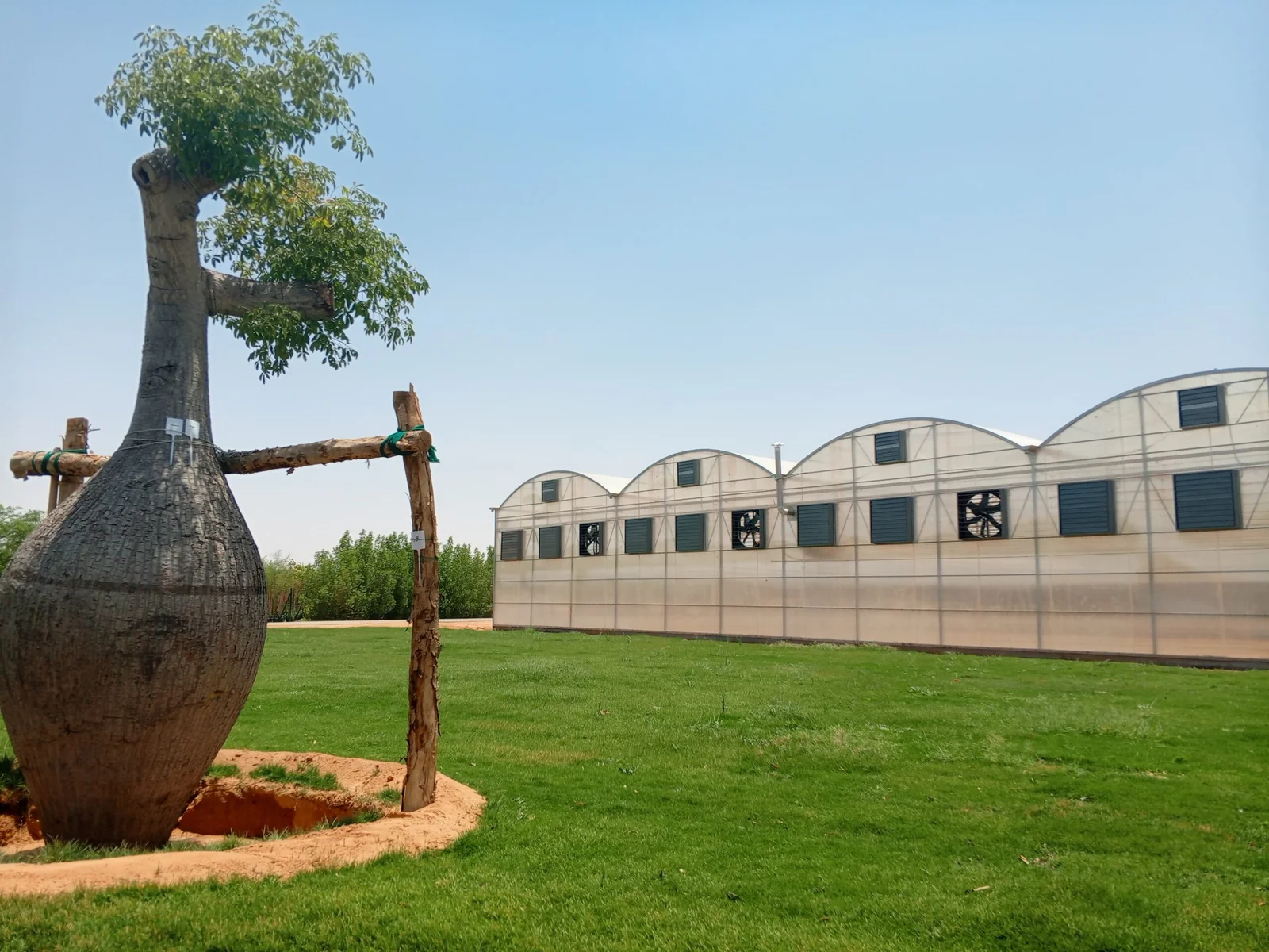UID greenhouse structures in a landscaped Saudi setting